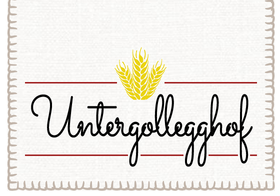 Zimmer Unterkunft in Großarl Taxi Grossarl Flughafen Transfer